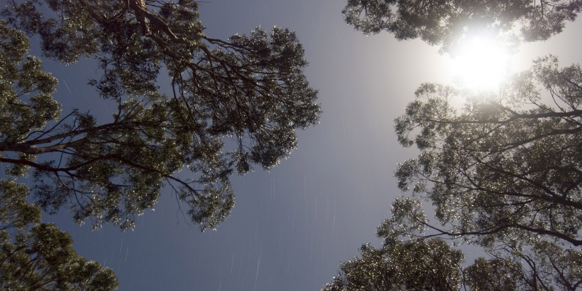 Top Aussie Casinos for 2024