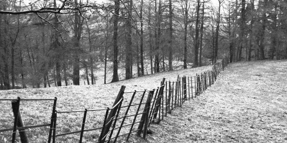 Winspirit Casino Review: Welcome Bonus + No Deposit FS